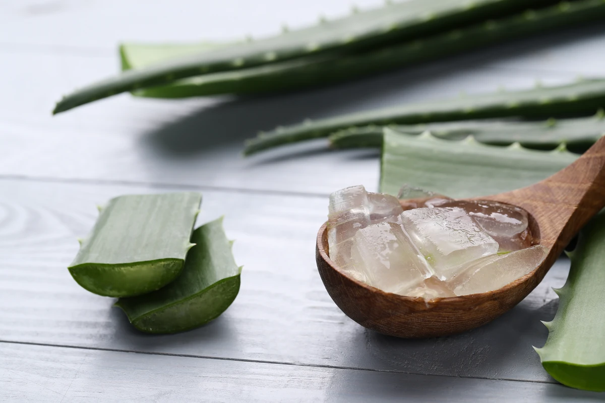 Para que serve a babosa? Descubra seus benefícios e como usar. Pedaços de babosa (Aloe vera) sobre uma mesa preta de madeira, com fatias sem casca dentro de uma colher de madeira.