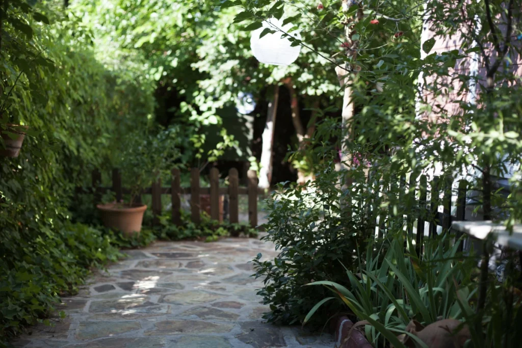 PANCs: O Que São, Benefícios, Onde Encontrar e como Consumir. Jardim residencial à luz do dia.
