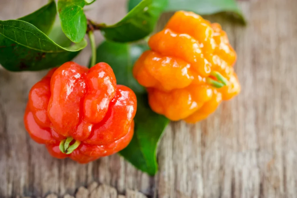 PANCs: O Que São, Benefícios, Onde Encontrar e como Consumir. Pitanga (Eugenia uniflora).