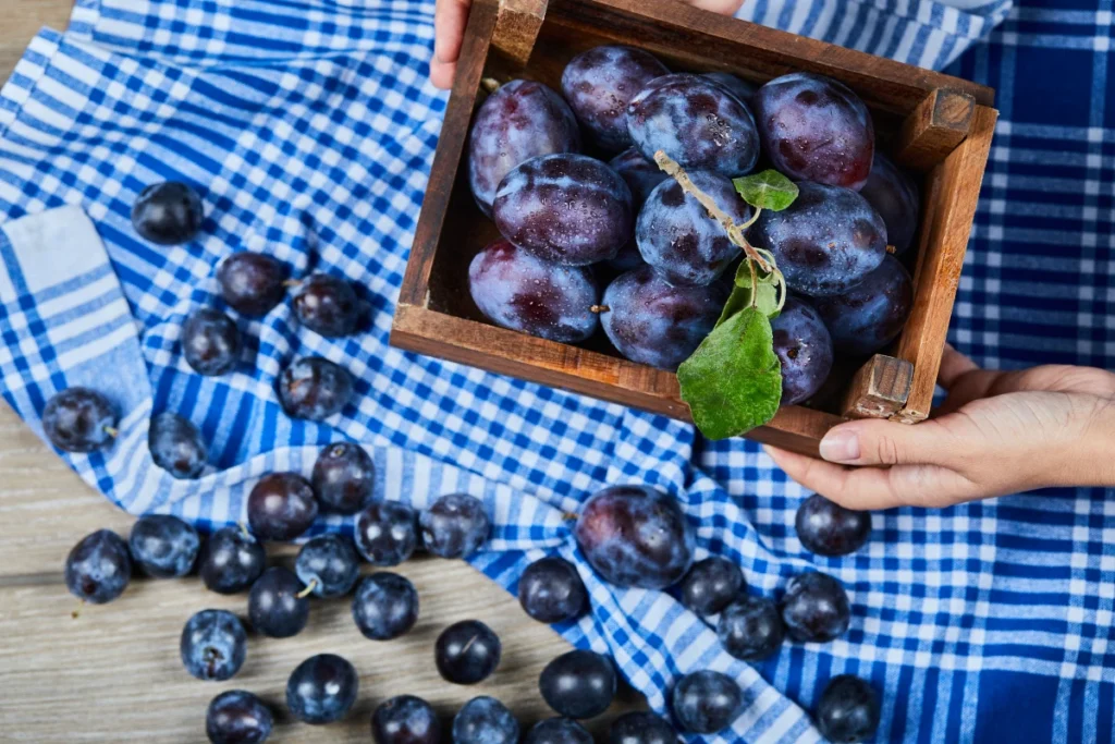 A Fruta Roxa que os Médicos Recomendam para Quem Sofre com Intestino Preso. Uma pessoa segurando uma cesta de madeira de ameixas de jardim na mesa de madeira.