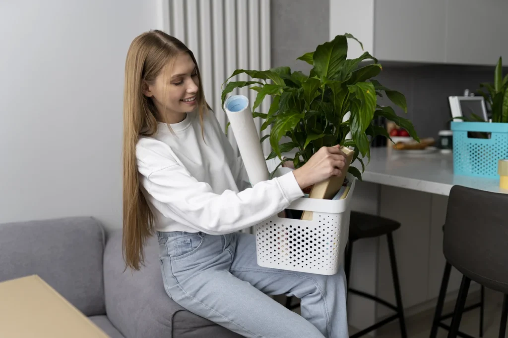 Mulher carregando caixa com plantas que limpam o ar de casa durante mudança residencial